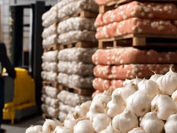 Garlic market analysis