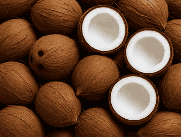 latest coconut news