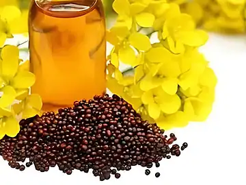 Mustard