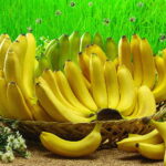 fresh banana