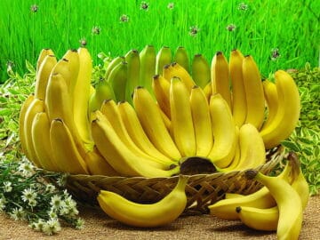 fresh banana