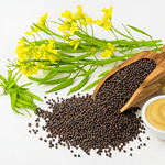 mustard