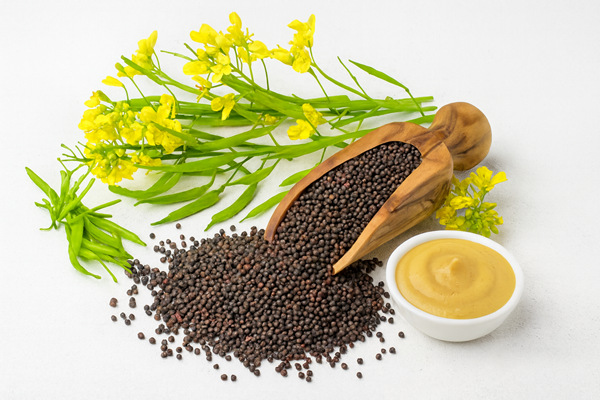mustard