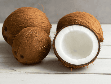 coconut latest news
