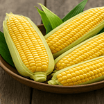 corn latest news