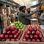 Indian apple imports