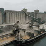 China US soybean purchases