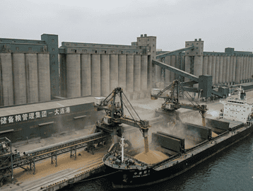 China US soybean purchases