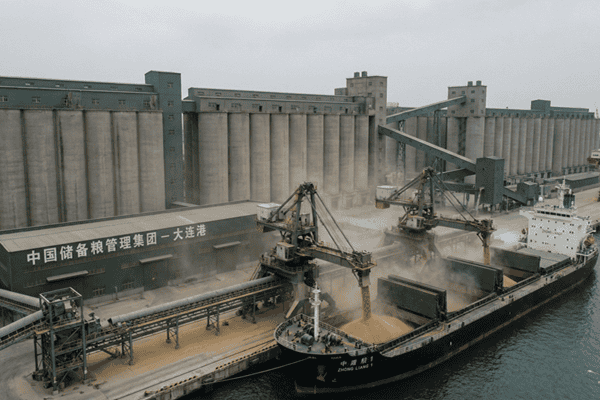 China US soybean purchases