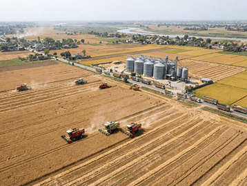 Aerial view of large-scale grain harvesting with multiple combine harvesters working in golden fields near storage silos and rural farmland