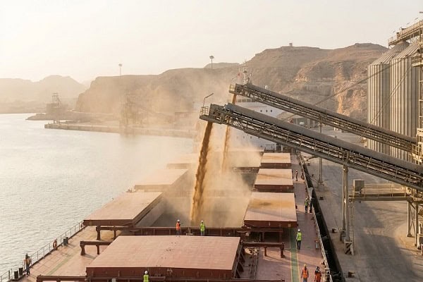 Jordan wheat import tender