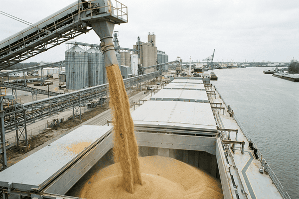 China U.S. soybean purchase commitments
