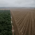 Aerial landscape showing soybean fields next to Amazon rainforest in Mato Grosso, Brazil.