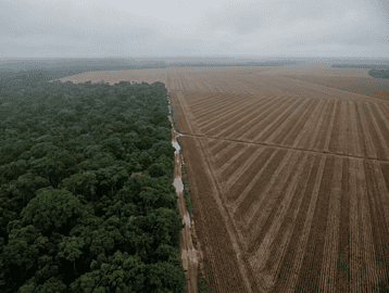 Aerial landscape showing soybean fields next to Amazon rainforest in Mato Grosso, Brazil.