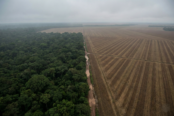 Aerial landscape showing soybean fields next to Amazon rainforest in Mato Grosso, Brazil.