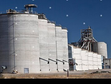 “Large rice storage facility with high stacks of grain bags representing record foodgrain stocks in India’s Central Pool.”