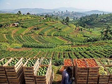 Rwanda From Subsistence Farming to Export-Led Growth