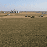 China focuses on stabilising grain and edible oil production as part of national food security policy.