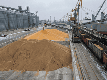 Grain loading operations at a Ukrainian export terminal showing wheat and corn shipments.