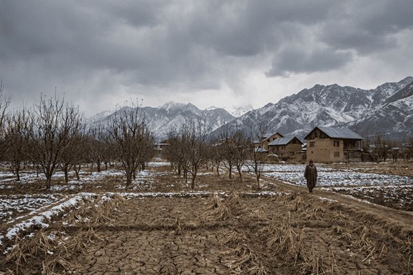 Kashmir Valley winter landscape with dry fields and distant mountains, apple orchards and saffron fields under cloudy skies, rural agriculture setting, climate stress visual, realistic documentary photography, natural colors, no text, no logos
