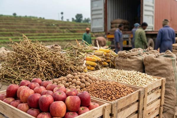 India agricultural trade policy and GM crop debate