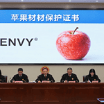 Apple orchard producing premium ENVY apples in China