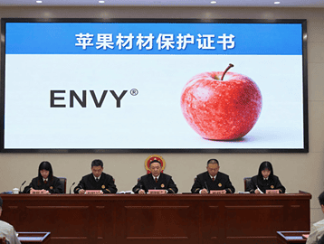 Apple orchard producing premium ENVY apples in China