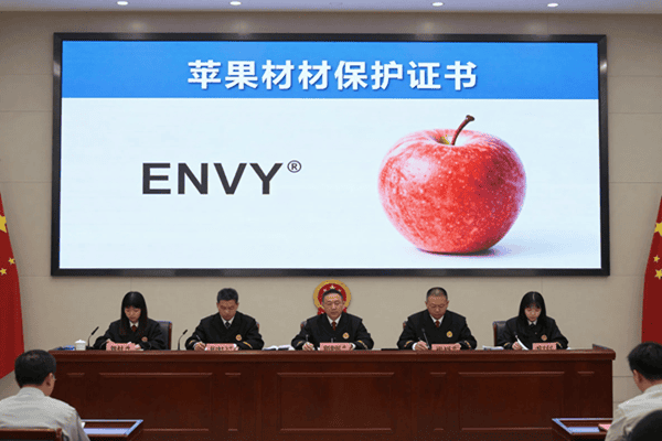 Apple orchard producing premium ENVY apples in China
