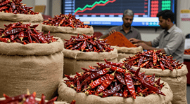 Red Chilli Latest market news