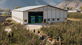 Kashmir apples stored in controlled atmosphere storage facility