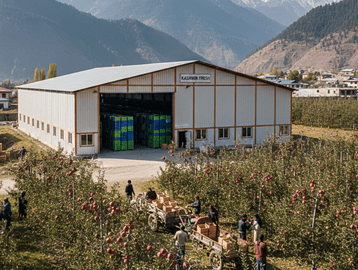 Kashmir apples stored in controlled atmosphere storage facility