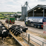 Rising feed and input costs impacting India dairy sector and farmers