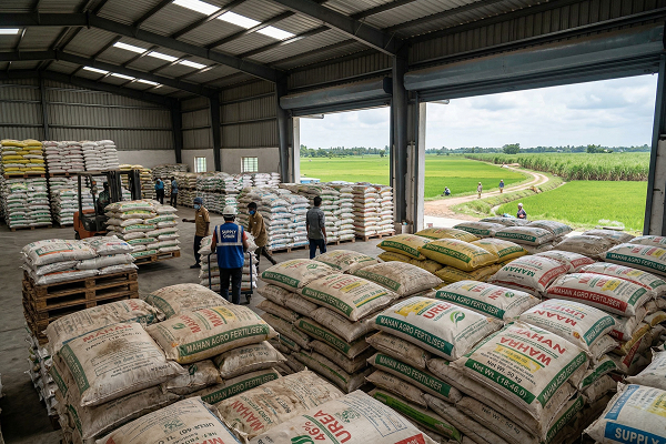 Fertiliser supply risk impacting India Kharif crops and agriculture output