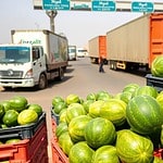 Mauritanian watermelon exports at Moroccan border crossing