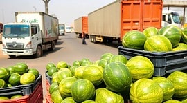 Mauritanian watermelon exports at Moroccan border crossing